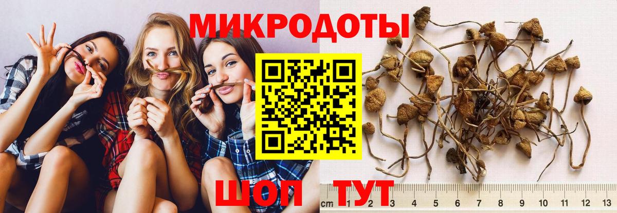 купить   Вход с VPN  Реж  Псилоцибиновые грибы ЛСД 